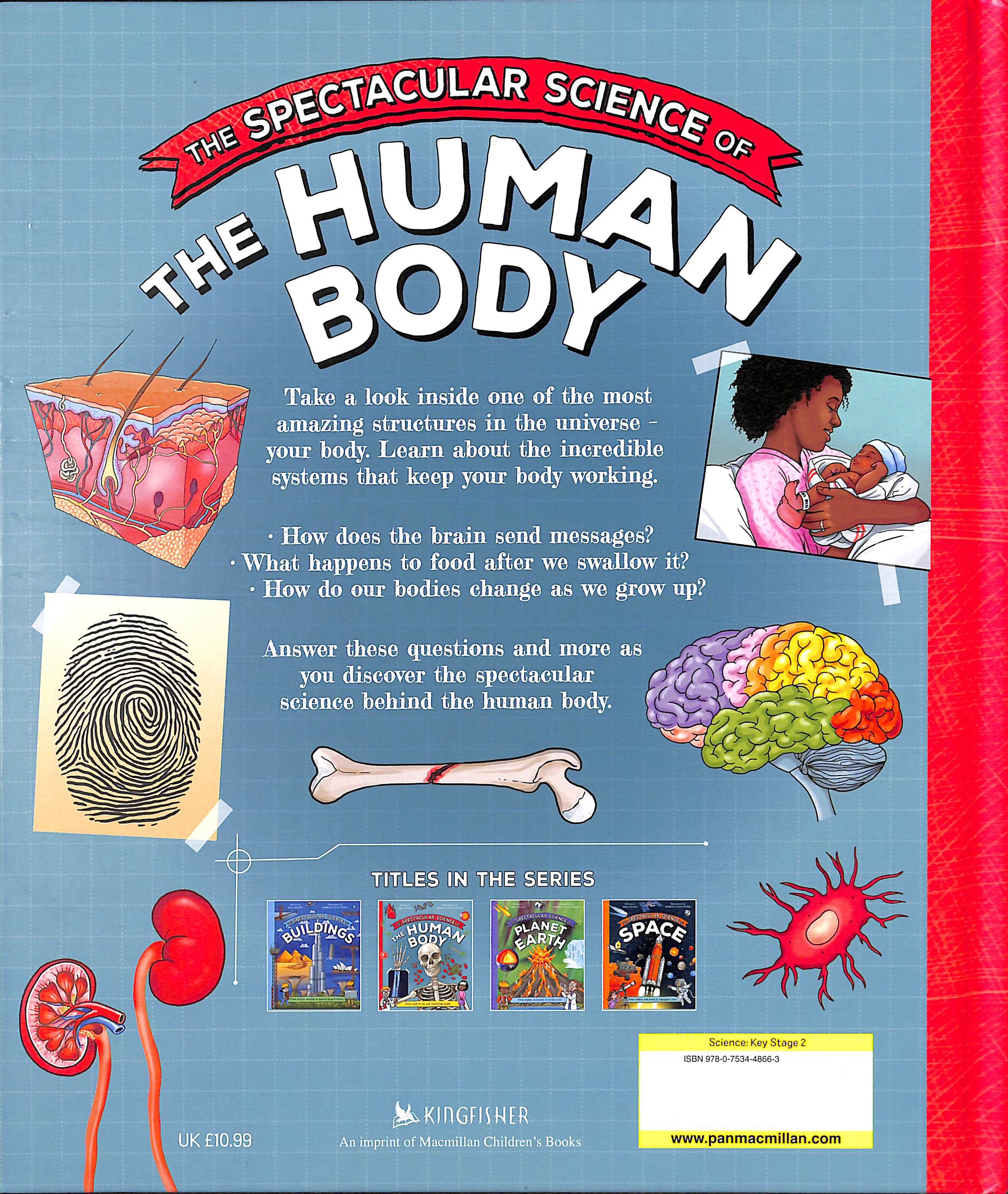 the spectacular science of the human body - Ảnh 6