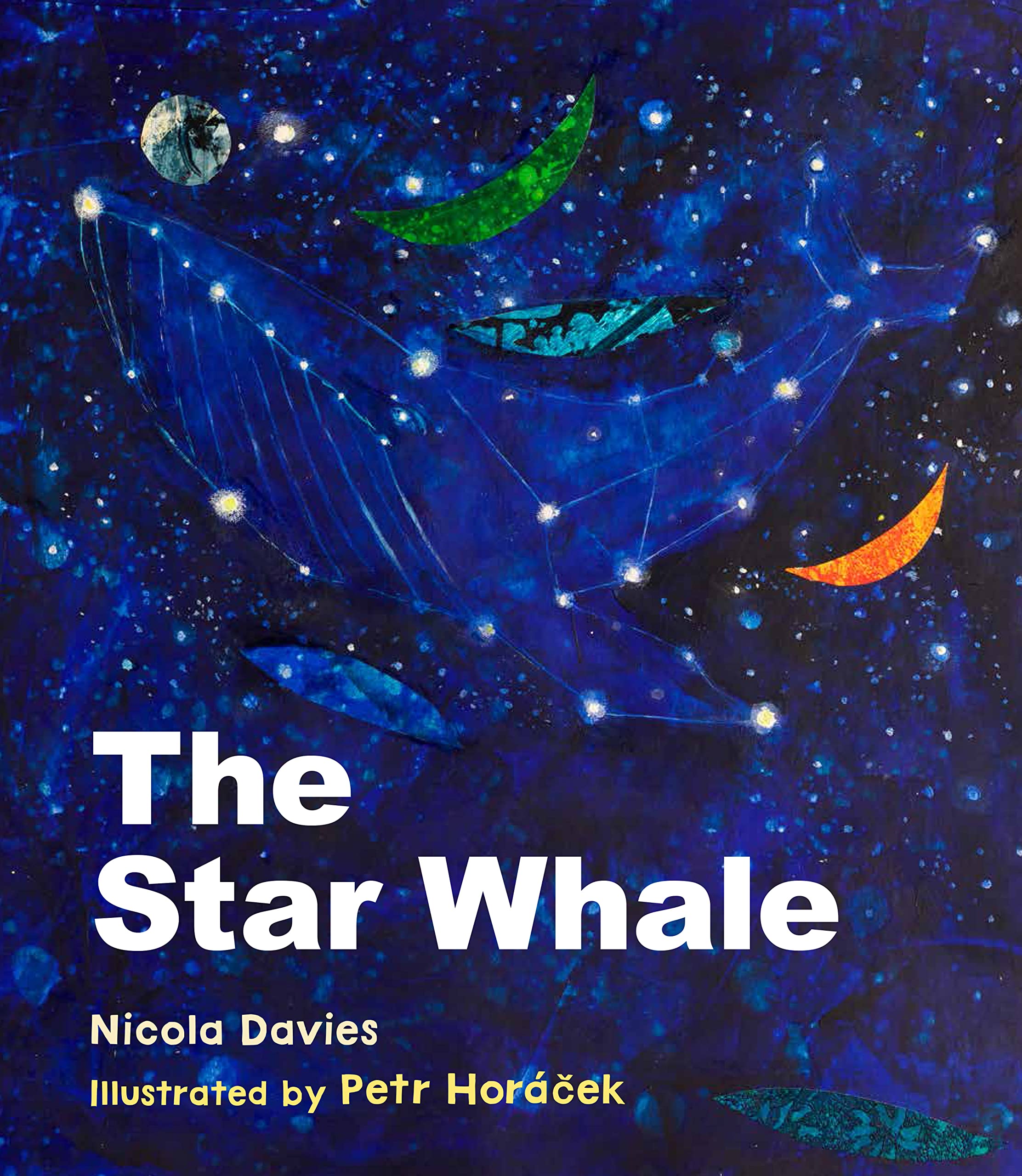 the star whale - Ảnh 2