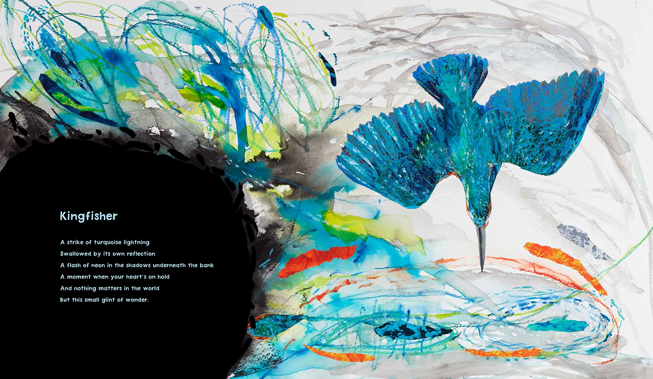 the star whale - Ảnh 5