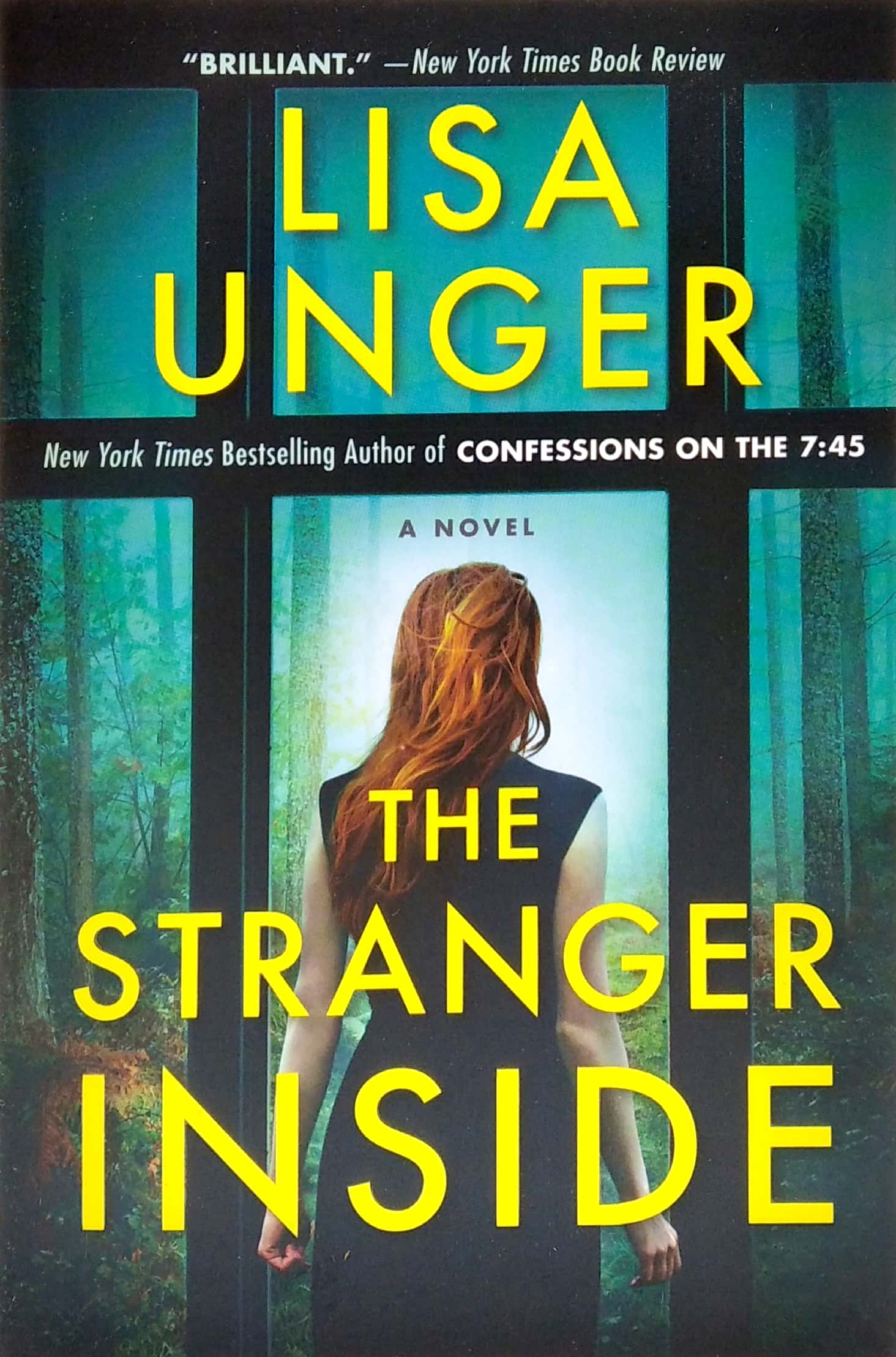the stranger inside - Ảnh 3