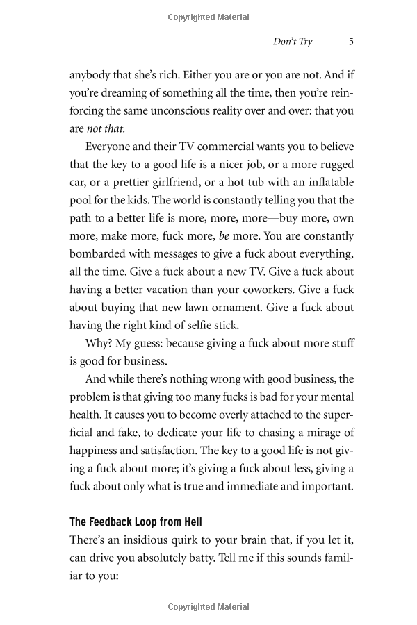 the subtle art of not giving a f*ck: a counterintuitive approach to living a good life - Ảnh 11