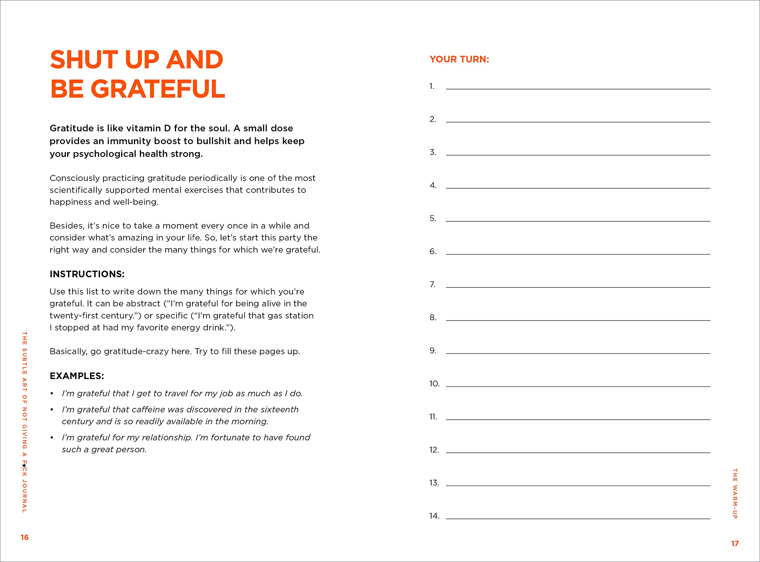 the subtle art of not giving a f*ck journal - Ảnh 4