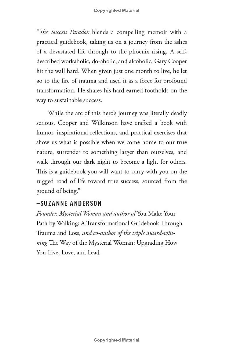 the success paradox - Ảnh 8