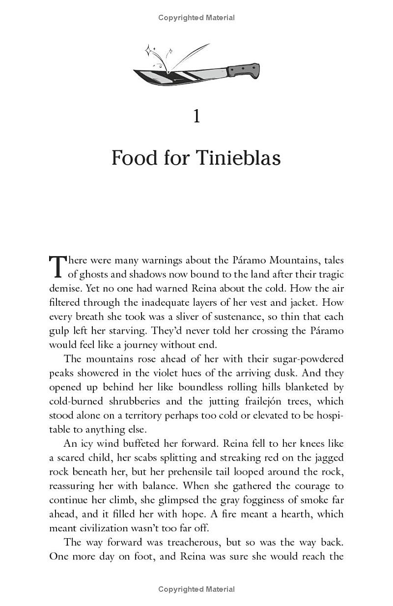 The Sun And The Void - Ảnh 7