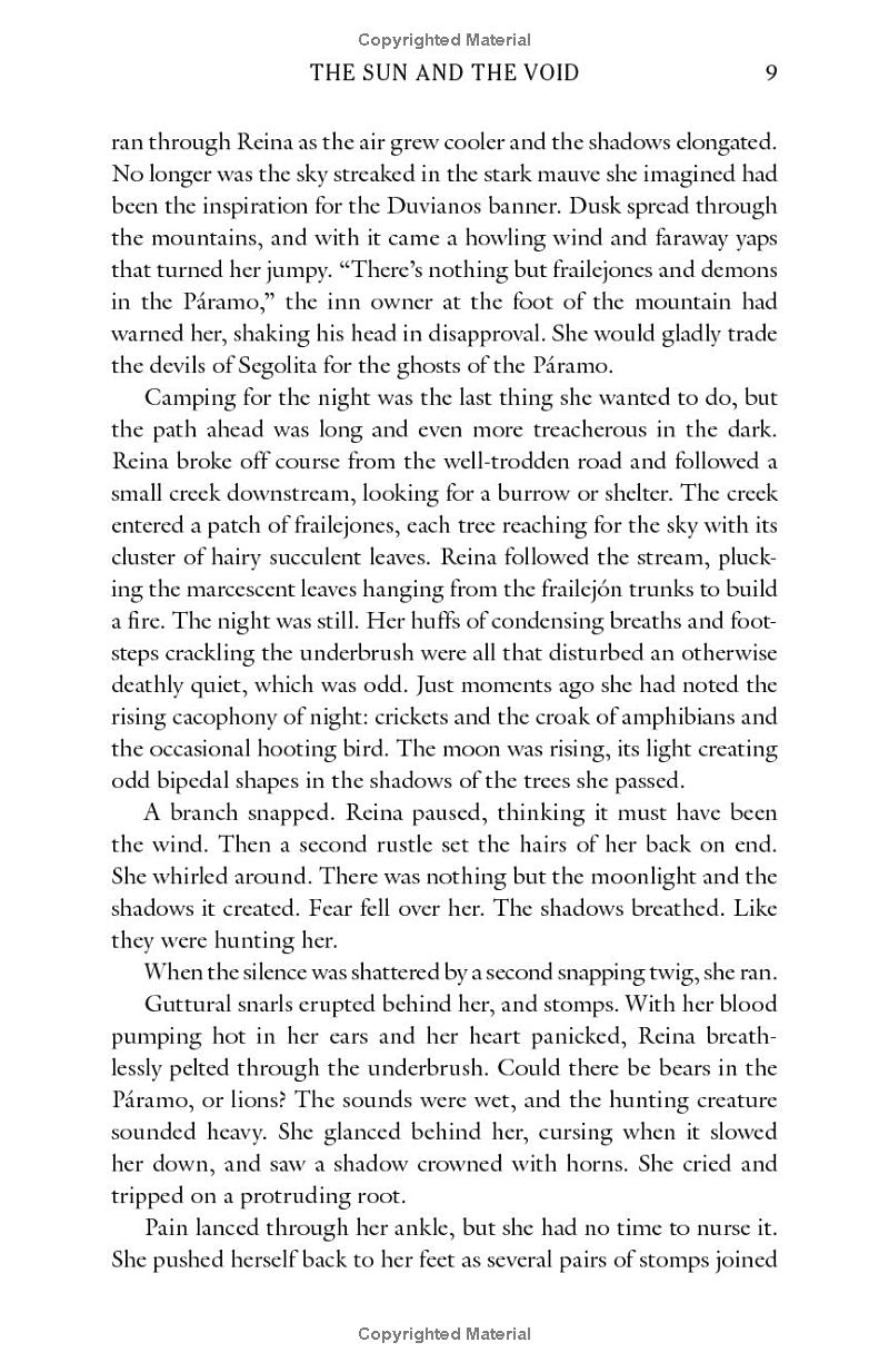 The Sun And The Void - Ảnh 9