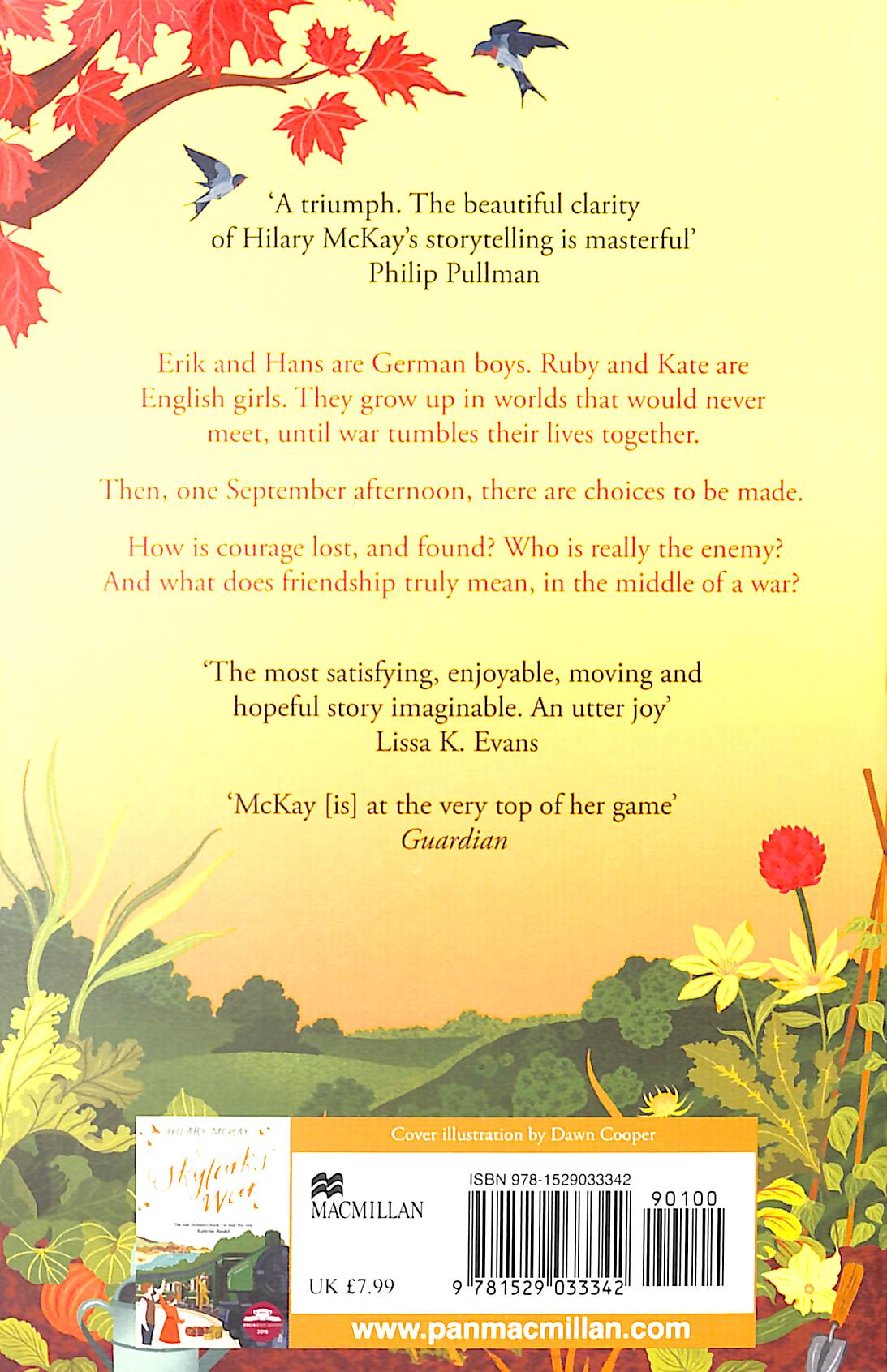 the swallows' flight - Ảnh 3