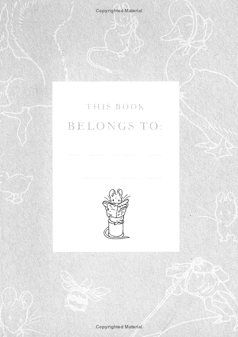 the tailor of gloucester - Ảnh 3