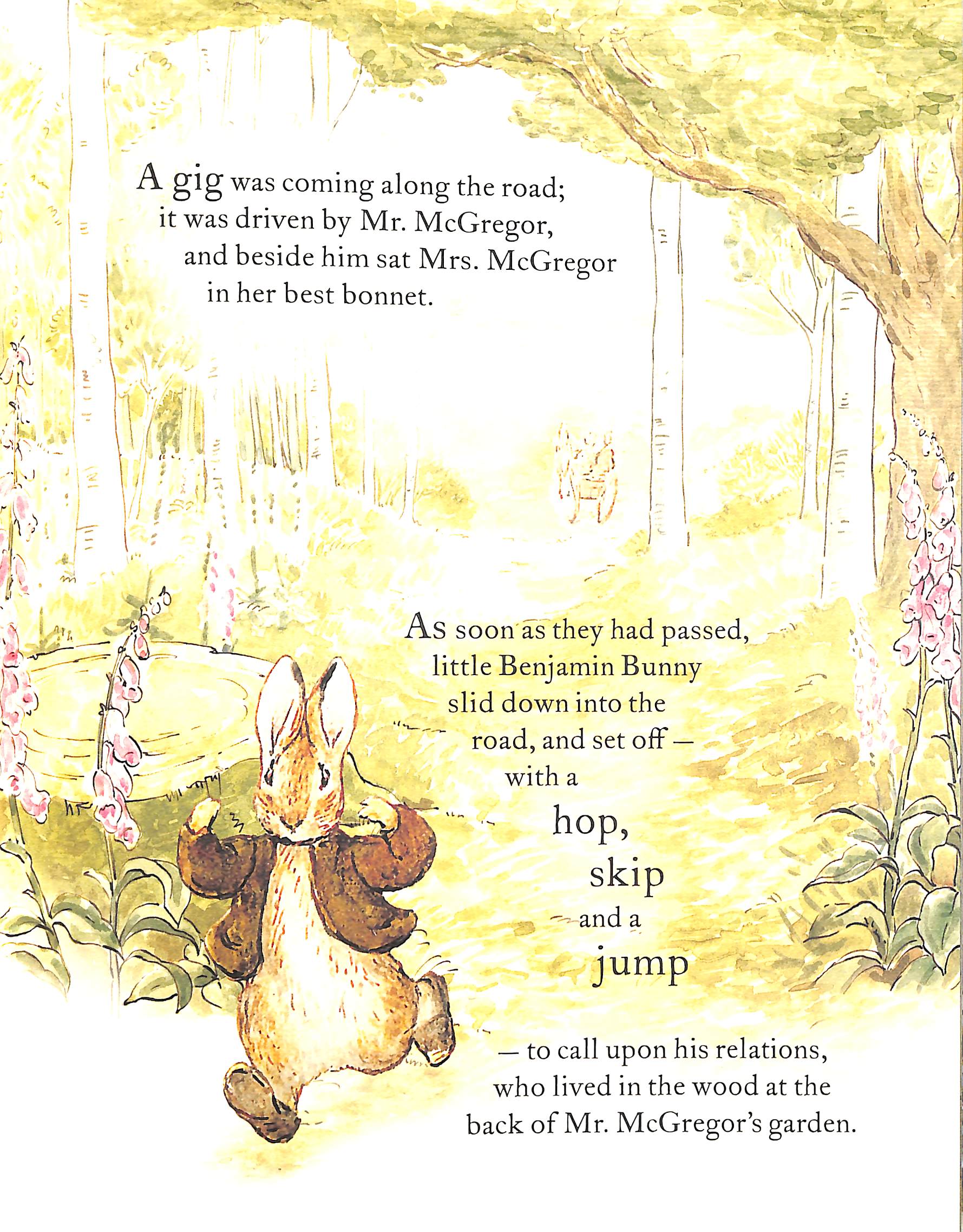 the tale of benjamin bunny picture book - Ảnh 5