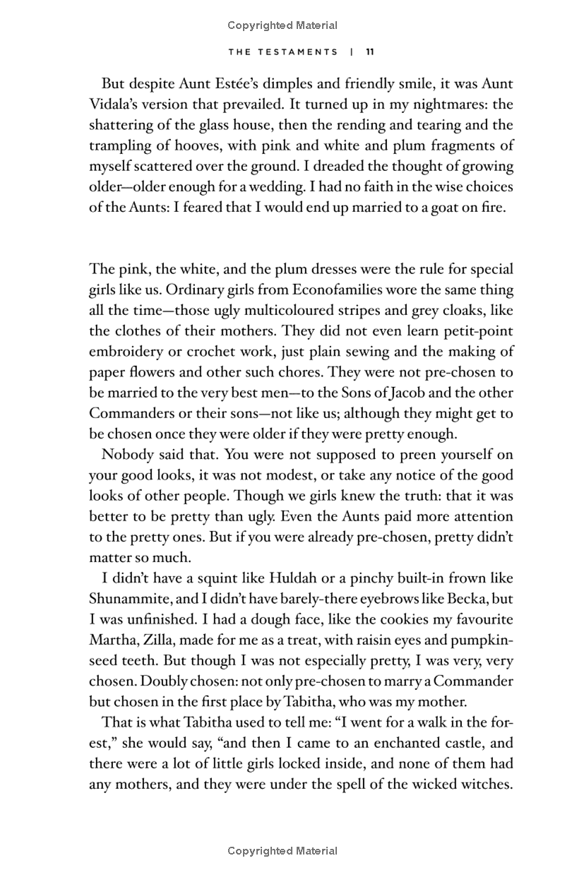 the testaments: a novel (handmaid's tale) - Ảnh 14