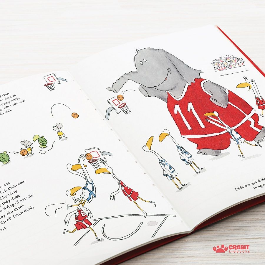 thể thao vui biết bao - Ảnh 4