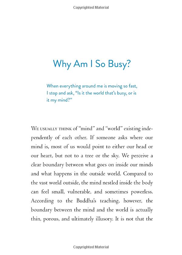 the things you can see only when you slow down - Ảnh 13