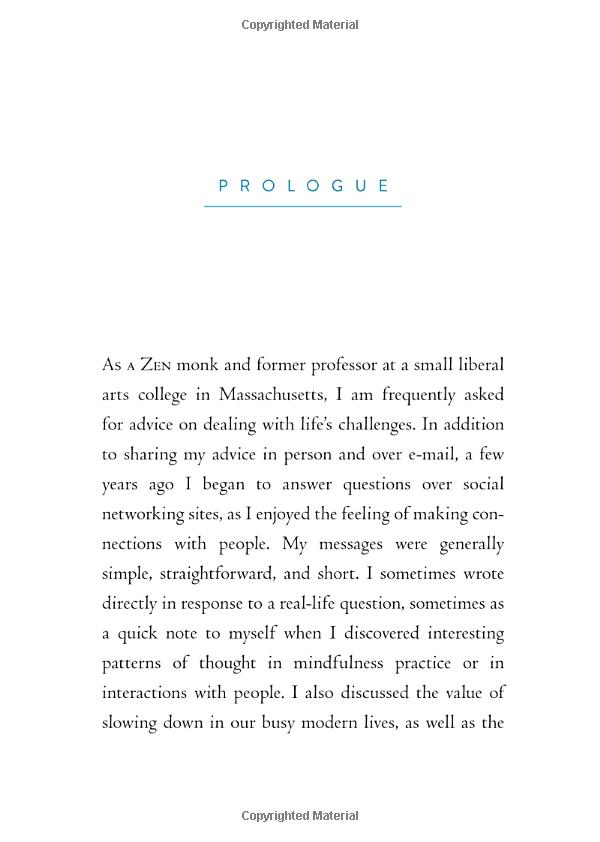 the things you can see only when you slow down - Ảnh 8