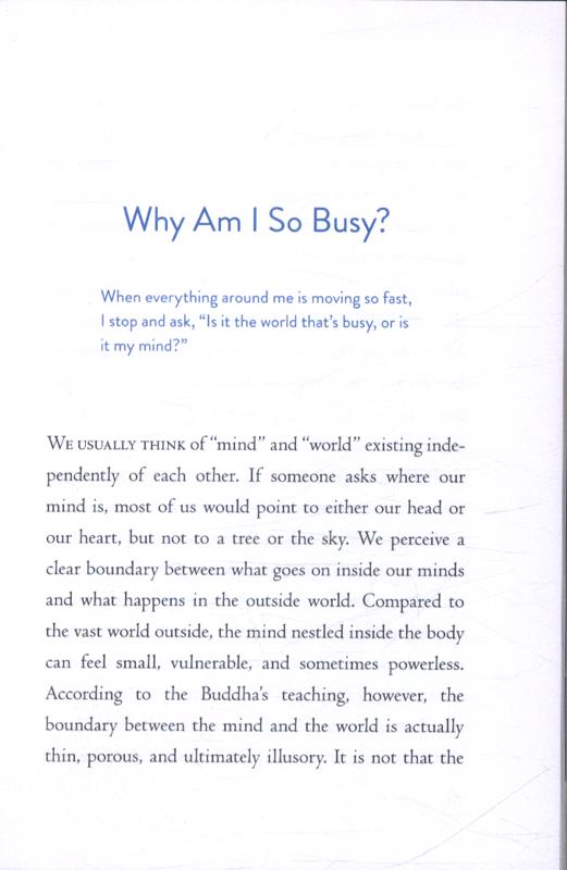 the things you can see only when you slow down: how to be calm in a busy world - Ảnh 4