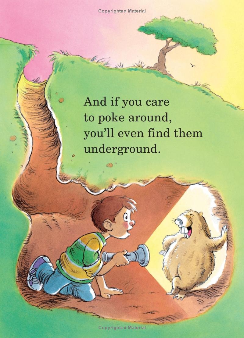 the tooth book (big bright & early board book) - Ảnh 6