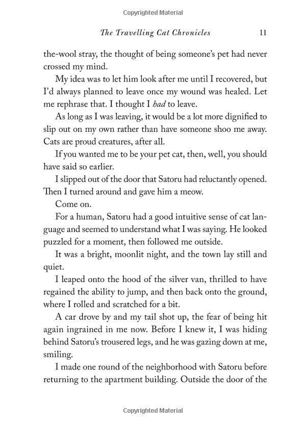 the travelling cat chronicles - Ảnh 10
