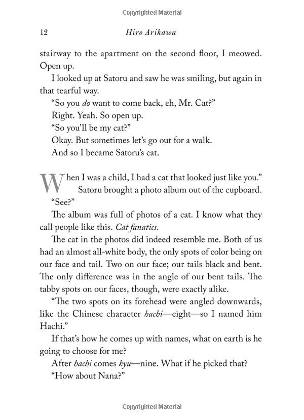 the travelling cat chronicles - Ảnh 11