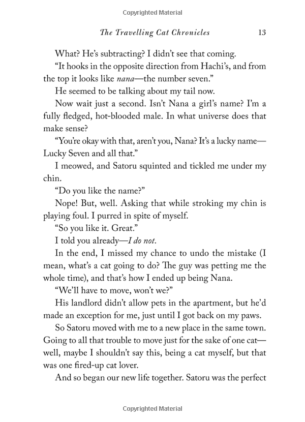 the travelling cat chronicles - Ảnh 12