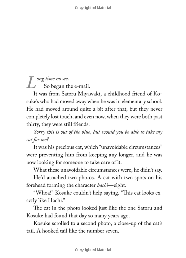 the travelling cat chronicles - Ảnh 13