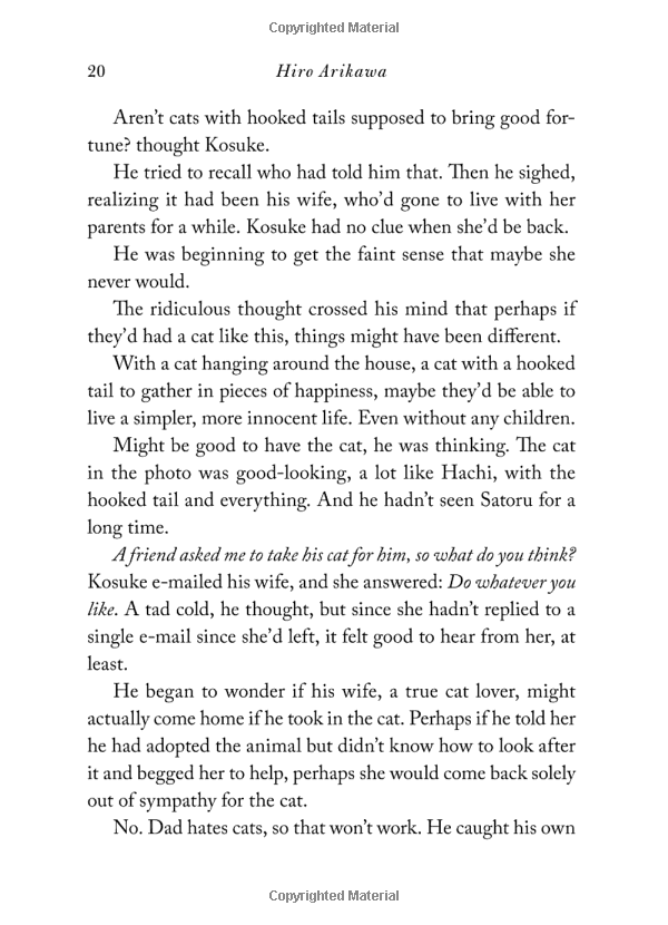 the travelling cat chronicles - Ảnh 14