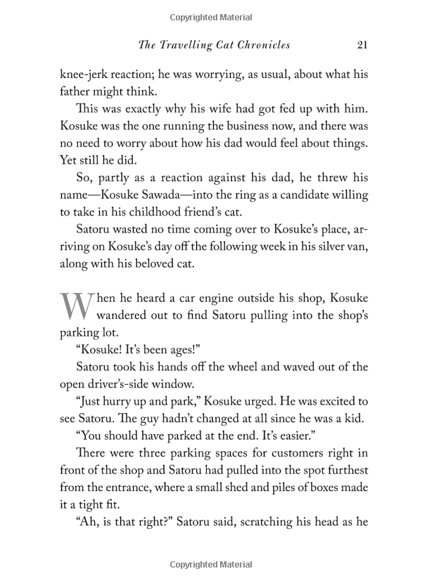 the travelling cat chronicles - Ảnh 15