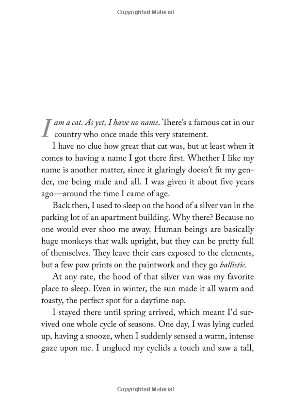 the travelling cat chronicles - Ảnh 3