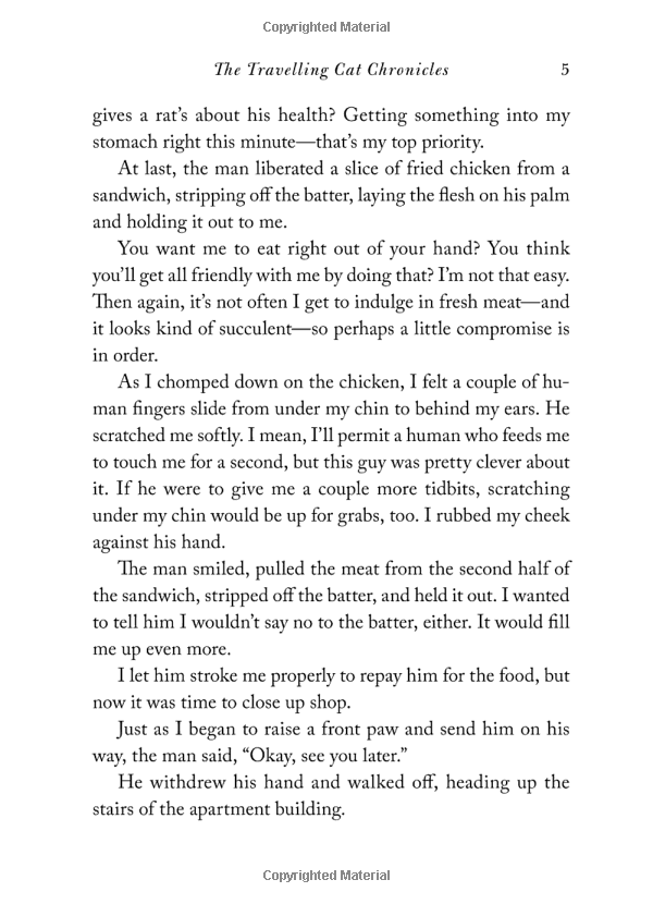 the travelling cat chronicles - Ảnh 5