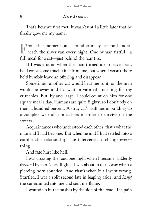 the travelling cat chronicles - Ảnh 6