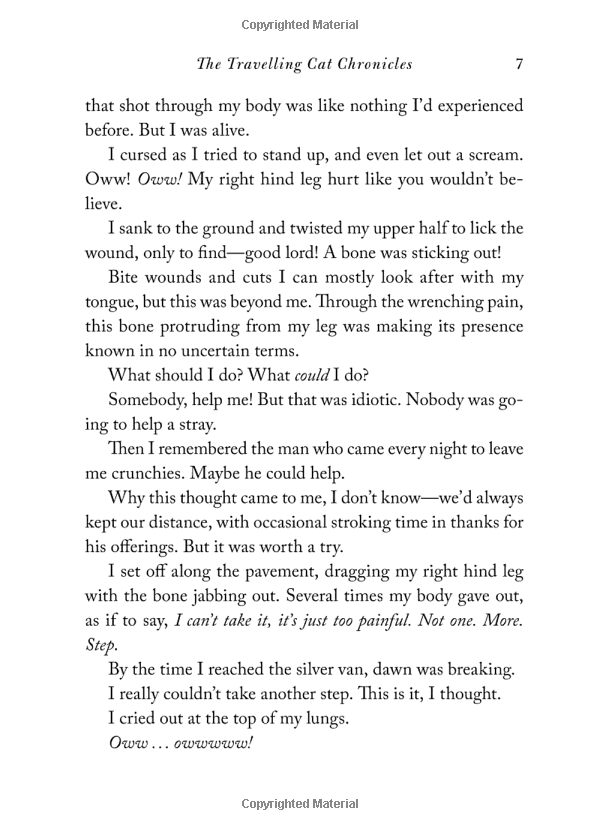 the travelling cat chronicles - Ảnh 7