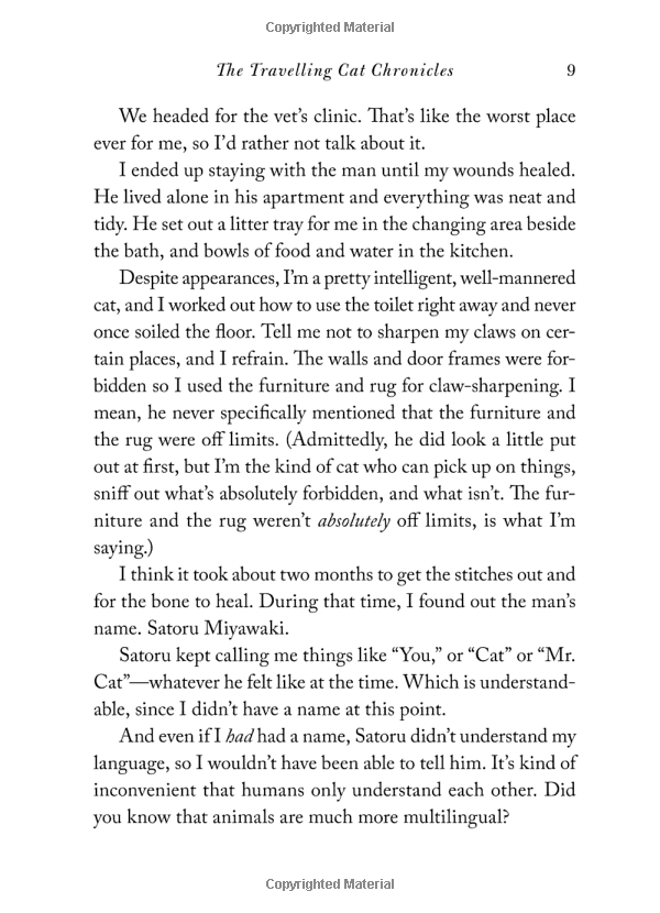 the travelling cat chronicles - Ảnh 8