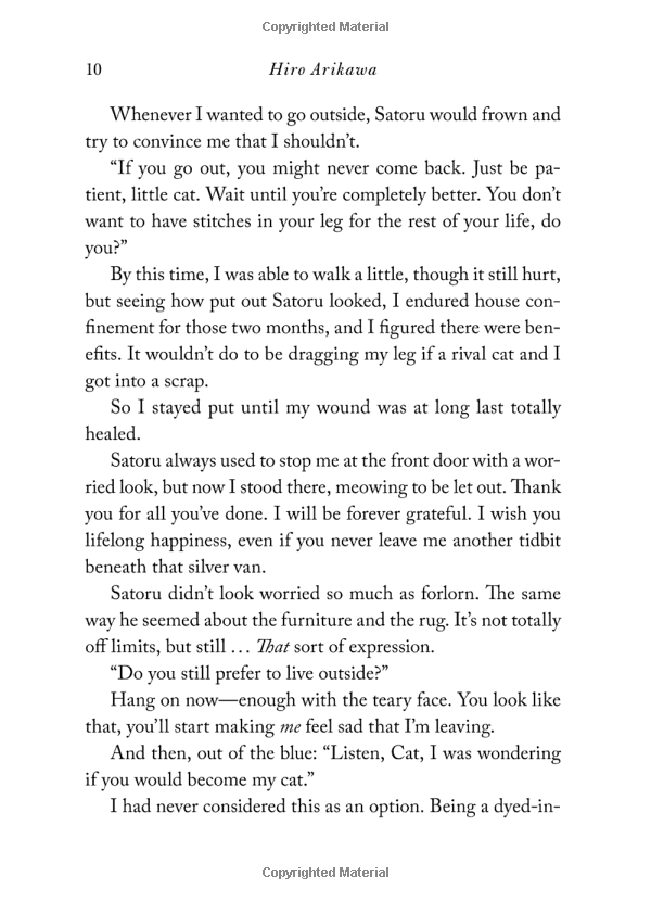 the travelling cat chronicles - Ảnh 9