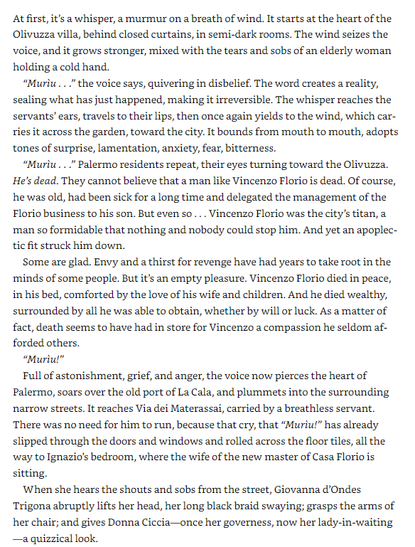 the triumph of the lions - Ảnh 7