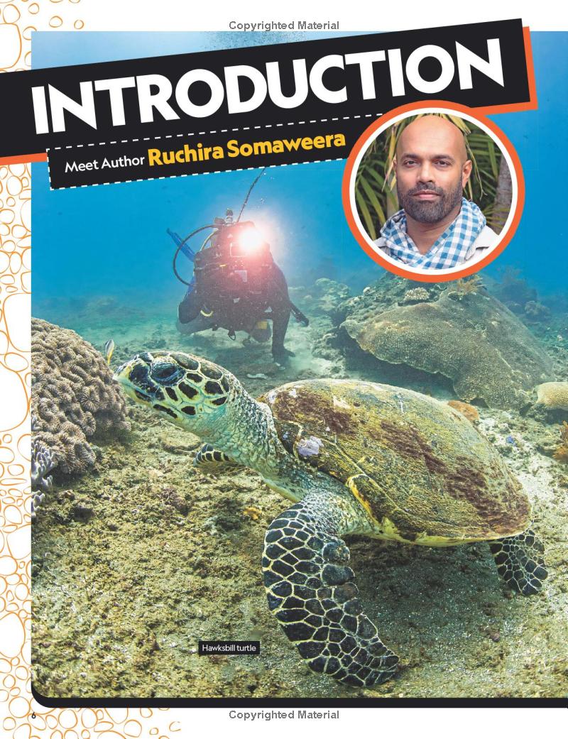 the ultimate book of reptiles - Ảnh 5