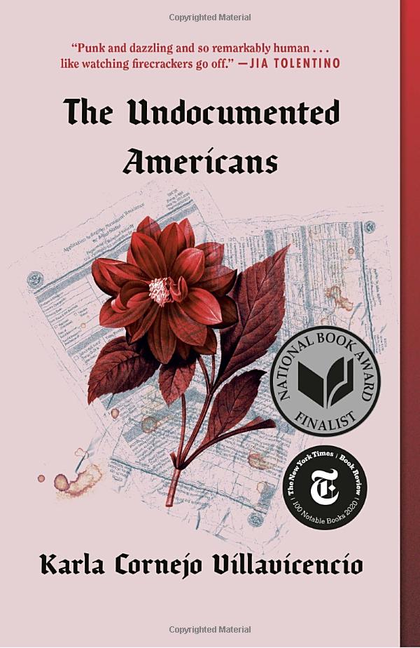 the undocumented americans - Ảnh 2