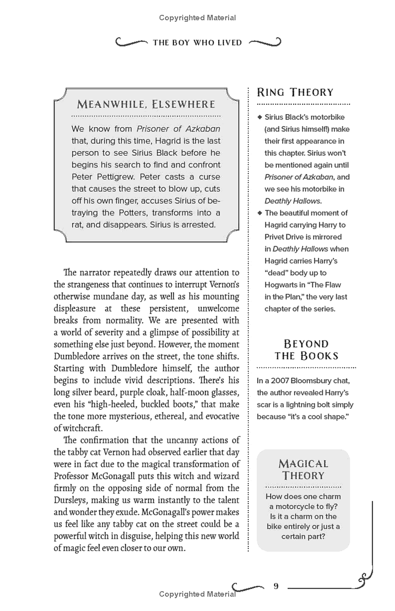 the unofficial harry potter companion volume 1: sorcerer's stone: an in-depth exploration - Ảnh 5