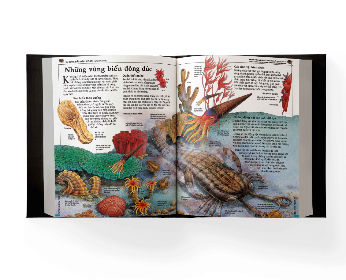 the usborne: bách khoa lịch sử thế giới - encyclopedia of world history - Ảnh 7