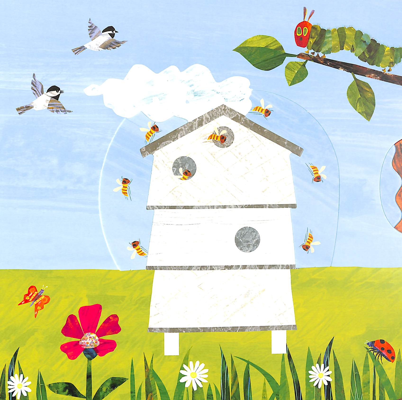 the very hungry caterpillarℹs garden - Ảnh 3