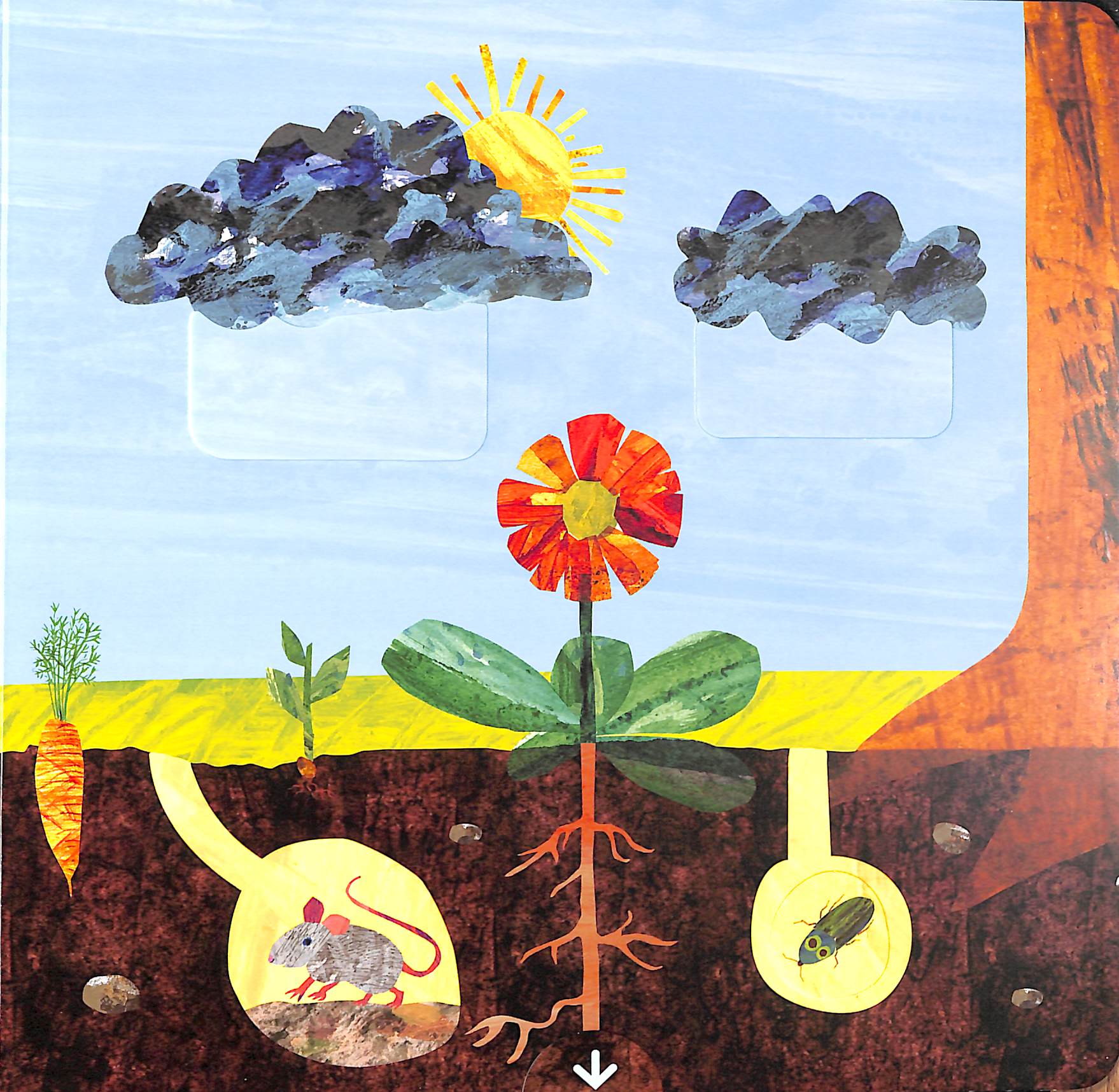 the very hungry caterpillarℹs garden - Ảnh 4