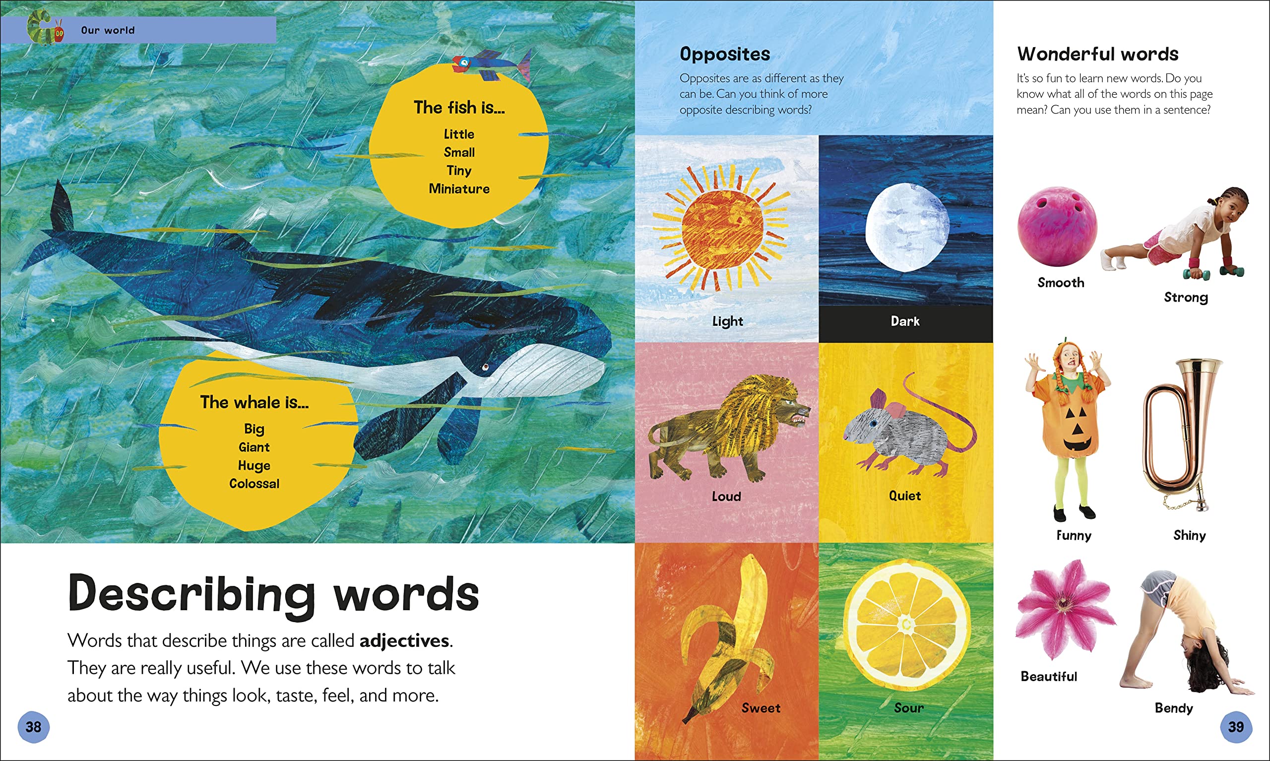 the very hungry caterpillar's very first encyclopedia - Ảnh 4