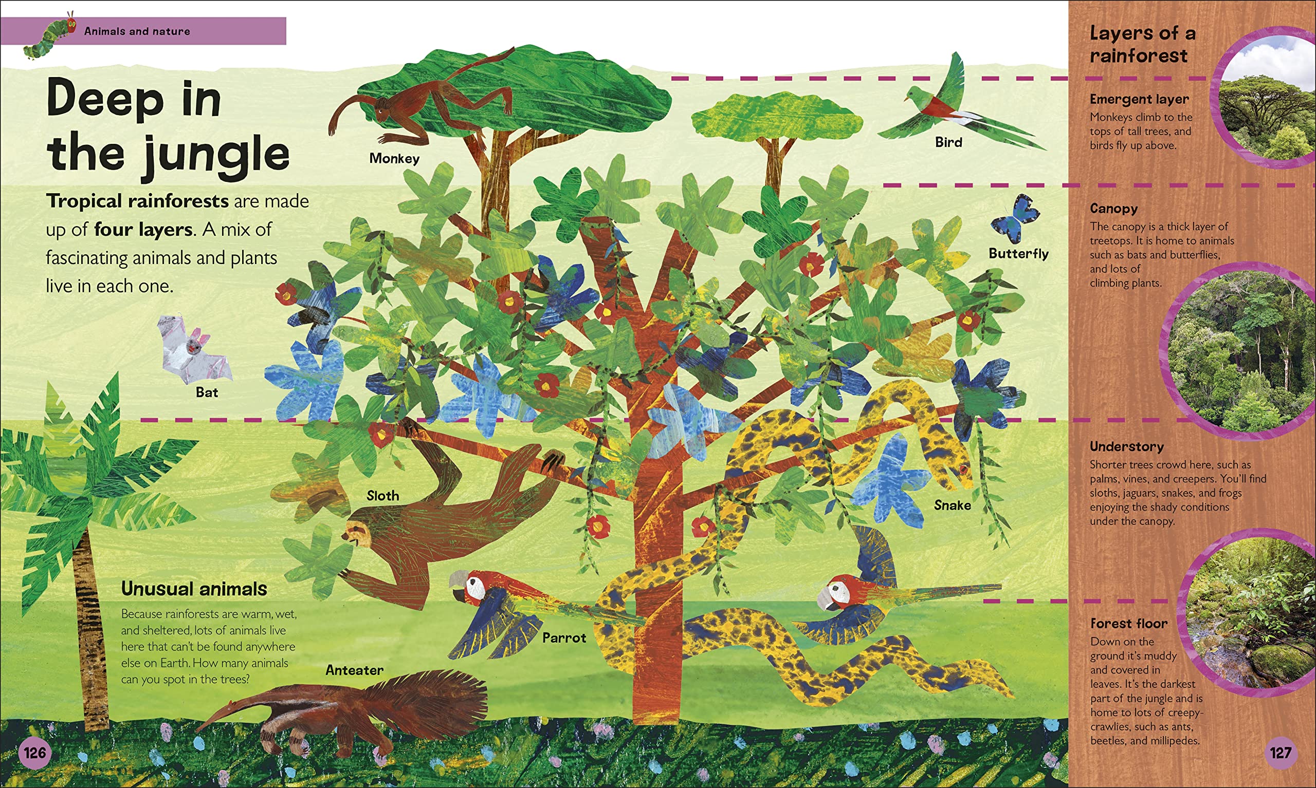 the very hungry caterpillar's very first encyclopedia - Ảnh 5