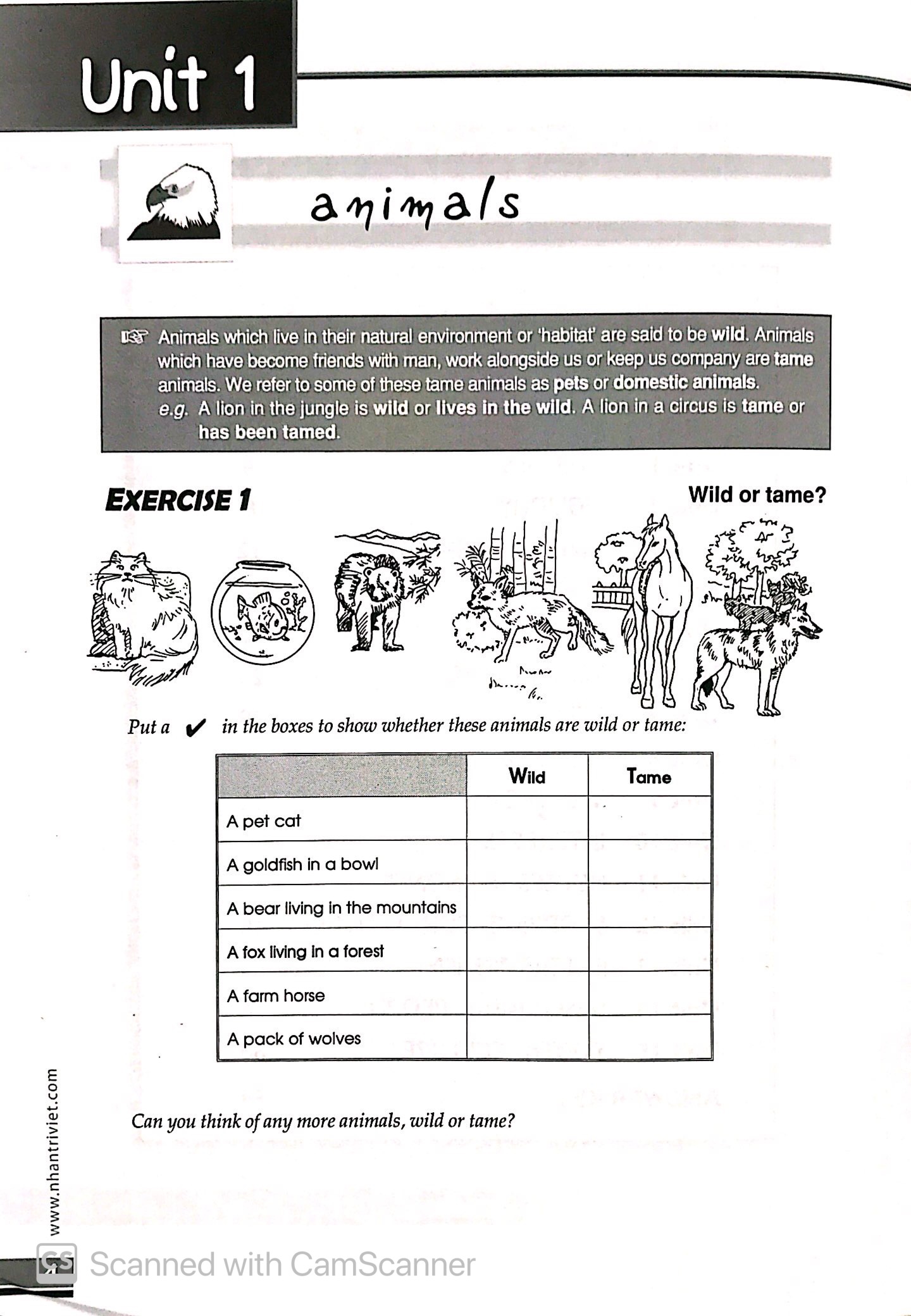 the vocabulary files - a2 level - Ảnh 5