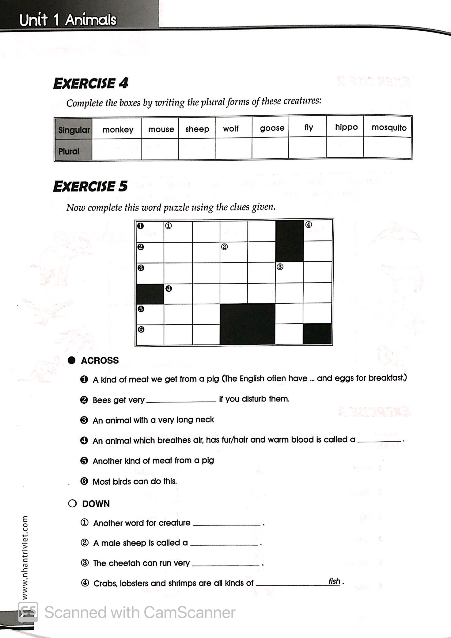 the vocabulary files - a2 level - Ảnh 7