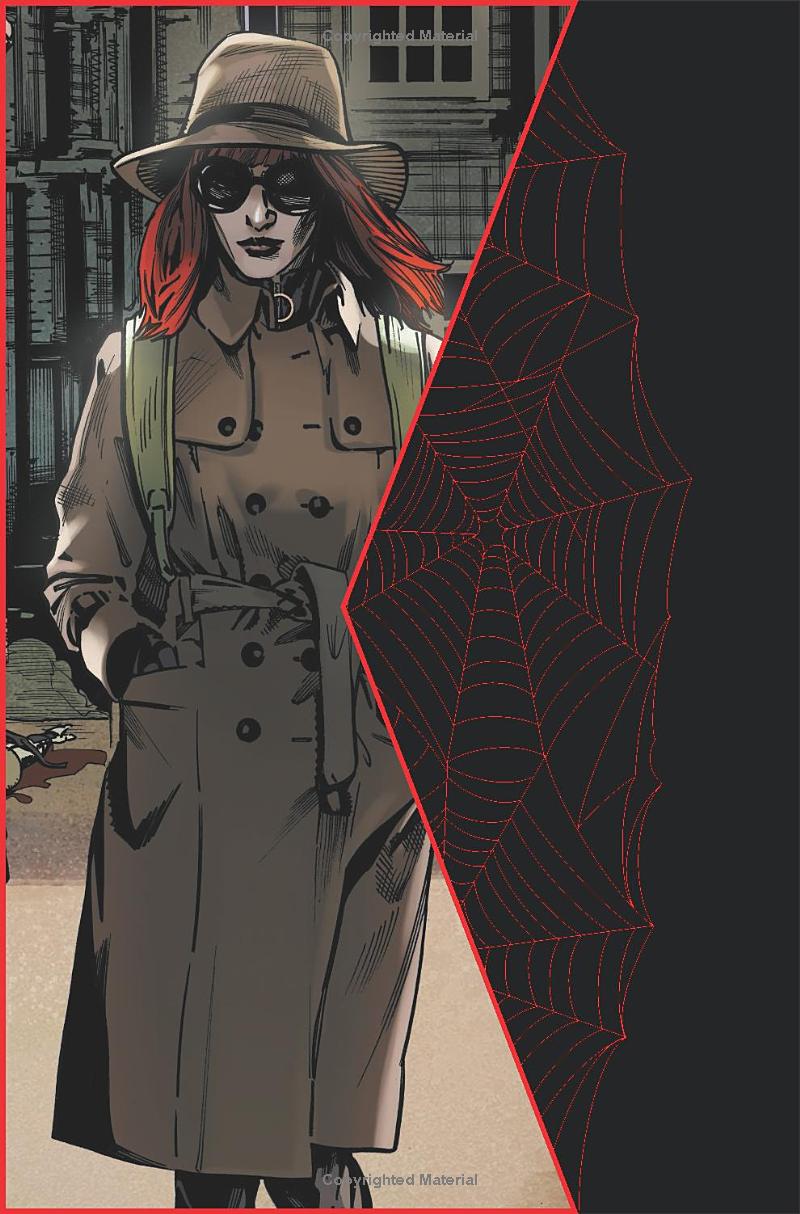 the web of black widow - Ảnh 3