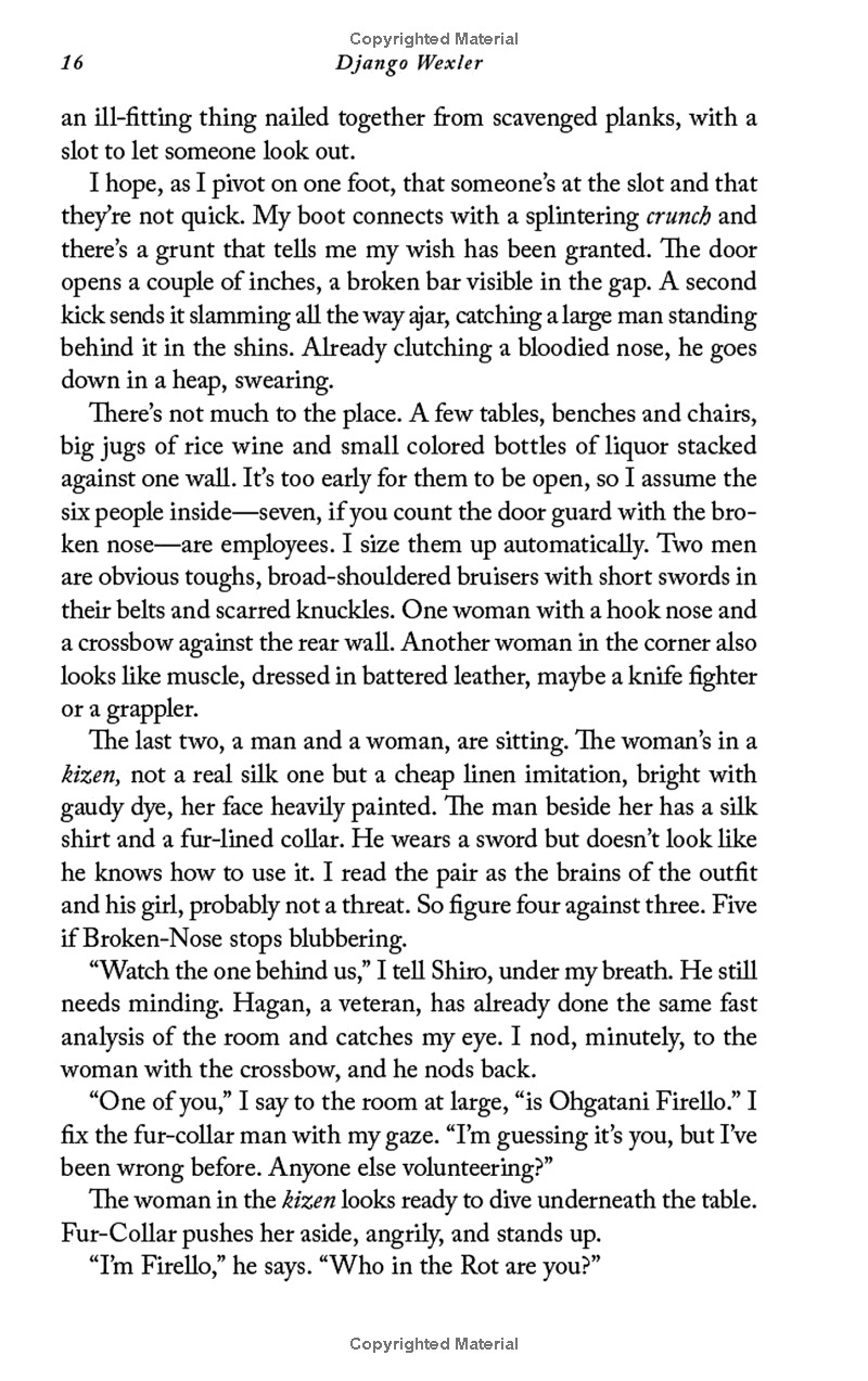 the wells of sorcery book 1: ship of smoke and steel - Ảnh 12