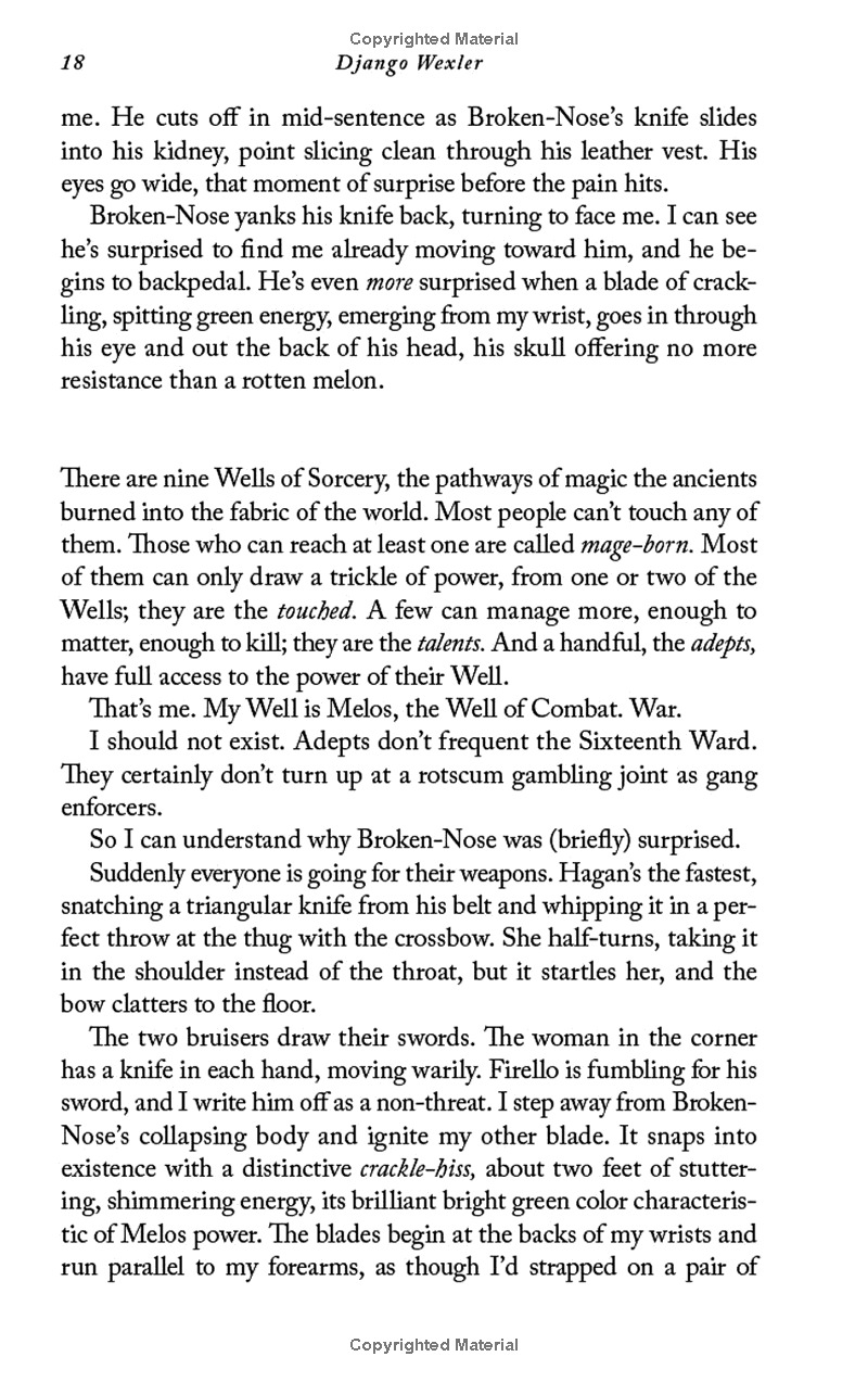 the wells of sorcery book 1: ship of smoke and steel - Ảnh 14