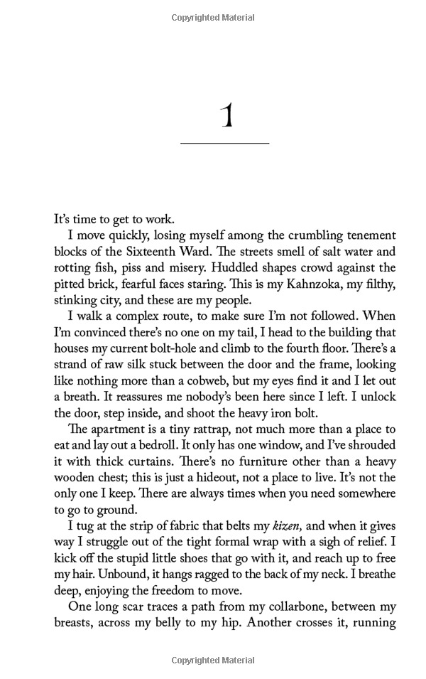 the wells of sorcery book 1: ship of smoke and steel - Ảnh 9