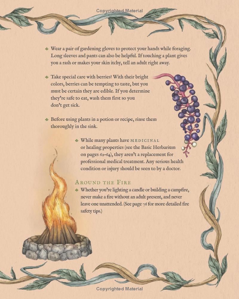 The Wheel Of The Year - An Illustrated Guide To Nature's Rhythms - Ảnh 10