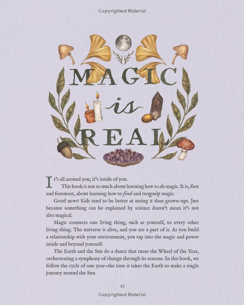 The Wheel Of The Year - An Illustrated Guide To Nature's Rhythms - Ảnh 12