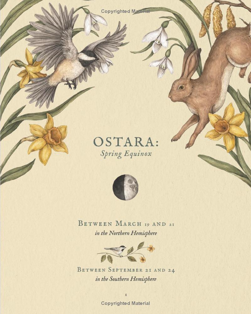 The Wheel Of The Year - An Illustrated Guide To Nature's Rhythms - Ảnh 14