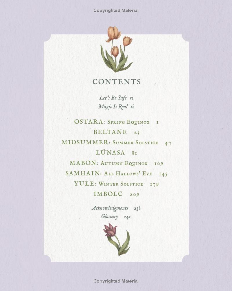 The Wheel Of The Year - An Illustrated Guide To Nature's Rhythms - Ảnh 6