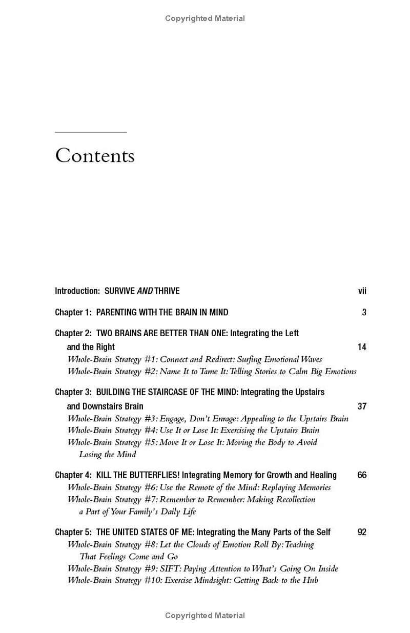 The Whole-Brain Child - Ảnh 3